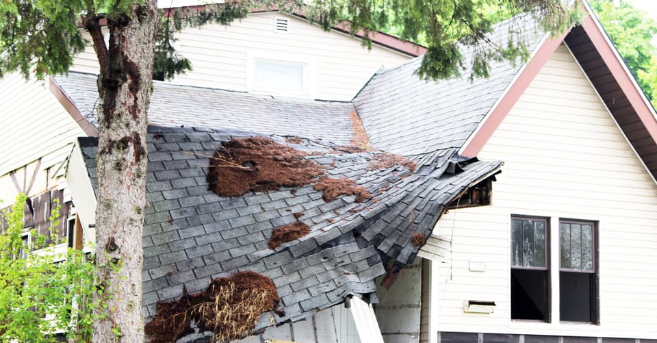 How an Aging Roof and Climate Change Can Turn Into a Home Insurance Headache image